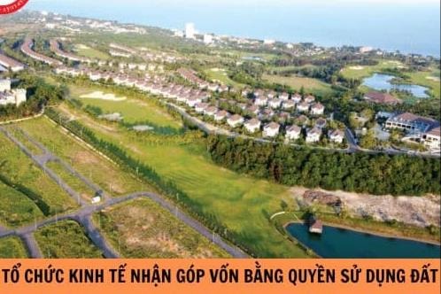 Tổ chức kinh tế nhận góp vốn bằng quyền sử dụng đất của cá nhân có các quyền gì?