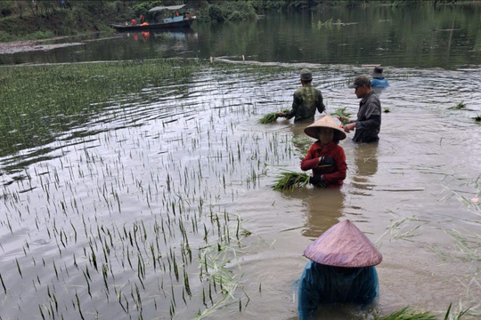 Miền núi Nghệ An chủ động ứng phó mưa lớn, sạt lở, lũ quét