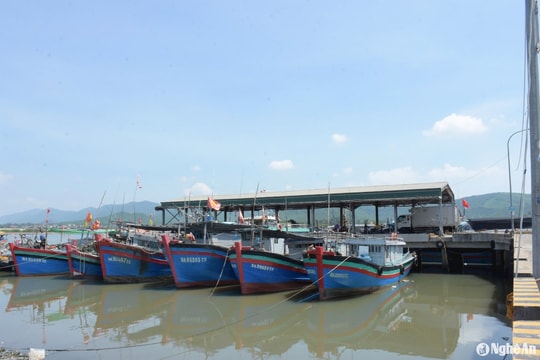 Bão số 4 cập bờ, tàu thuyền Nghệ An đều an toàn tại nơi neo đậu