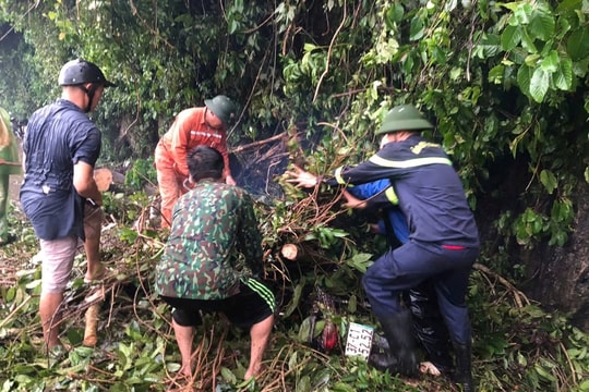 Mưa gió lớn khiến cây đổ ở Con Cuông, một người bị thương