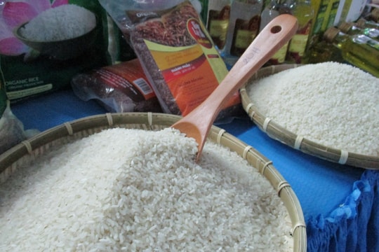 Giá lúa gạo hôm nay 19/9/2024: Giảm nhẹ 100 đồng