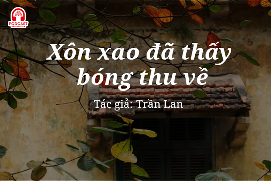 Tản văn hay: Xôn xao đã thấy bóng thu về