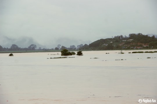 Thêm 1 người chết do mưa lũ ở huyện Anh Sơn