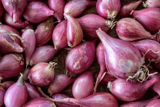 Bất ngờ với công dụng của hành tím với sức khỏe