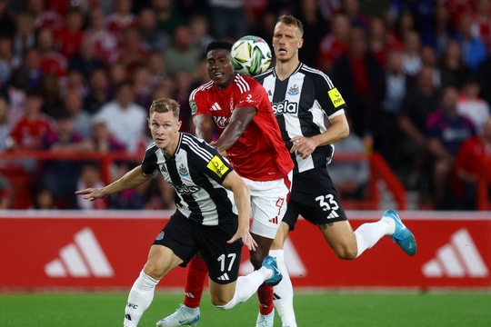 Nhận định, dự đoán Wimbledon vs Newcastle: Chủ nhà đại bại