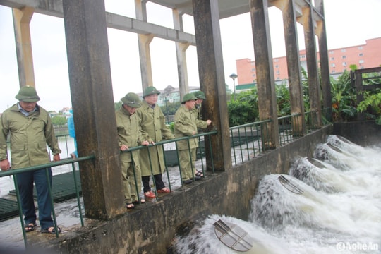 Phó Chủ tịch UBND tỉnh Nghệ An Nguyễn Văn Đệ chỉ đạo gia cố, đảm bảo an toàn đê Hưng Đạo