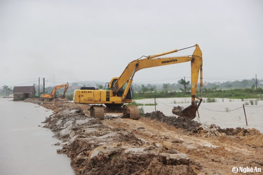 Sáp nhập Ban Quản lý dự án Đê điều vào Ban Quản lý dự án đầu tư xây dựng các công trình nông nghiệp và phát triển nông thôn Nghệ An