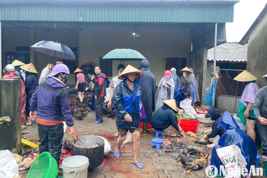 15.000 con gà bị ngạt do mưa ngập ở Nghệ An được ‘giải cứu’