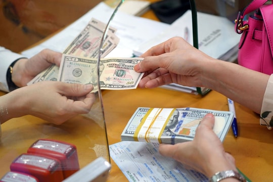 Tỷ giá USD hôm nay 25/9/2024: Trong nước tăng, thế giới giảm
