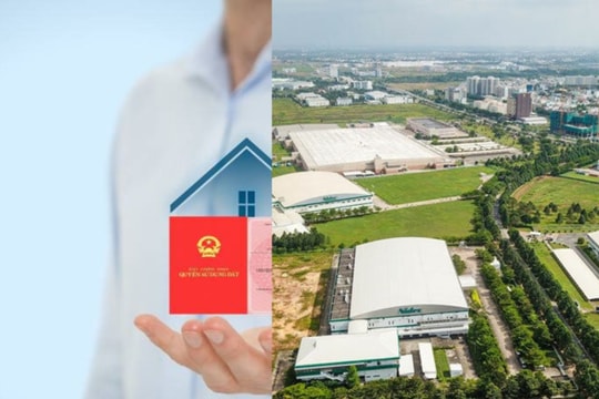 Quyền và nghĩa vụ của cá nhân sử dụng đất thừa kế theo luật mới nhất?