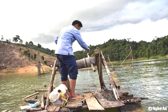 Miền Tây Nghệ An tích cực khôi phục sản xuất sau mưa lũ