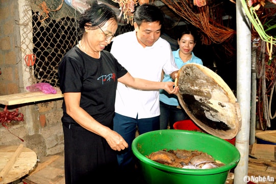 Bà giáo người Thái 'phát tài' nhờ nuôi con đuông cọ