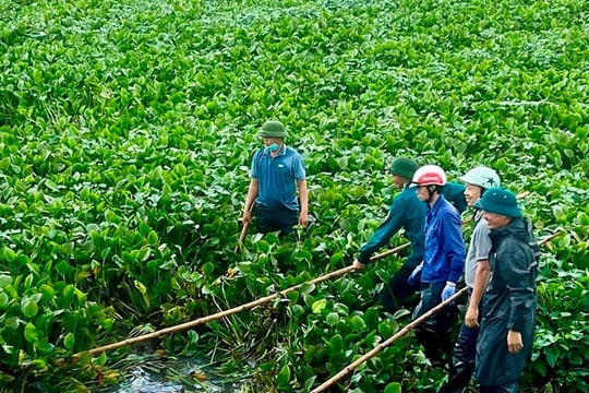 Huy động nhân lực trục vớt bèo tây mắc kẹt tại các cống tiêu thoát nước