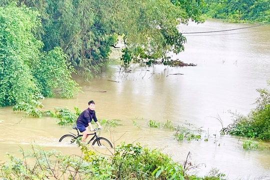 Infographic: Cập nhật thiệt hại của Nghệ An do ảnh hưởng bão số 4