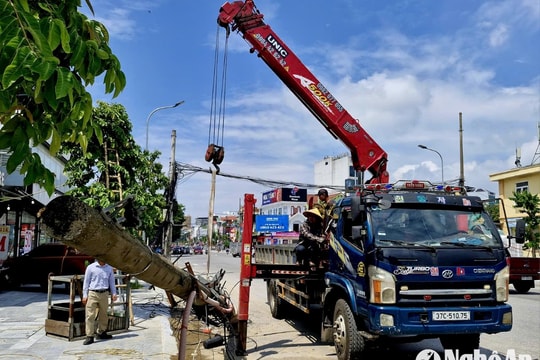 Tháo 'mạng nhện', cắt bỏ 'chướng ngại vật' cho tuyến đường Lê Hồng Phong (TP. Vinh)