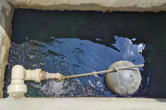 Hàng chục người trong chung cư ở TP. Vinh bị tiêu chảy có thể do bể nước bị rò rỉ