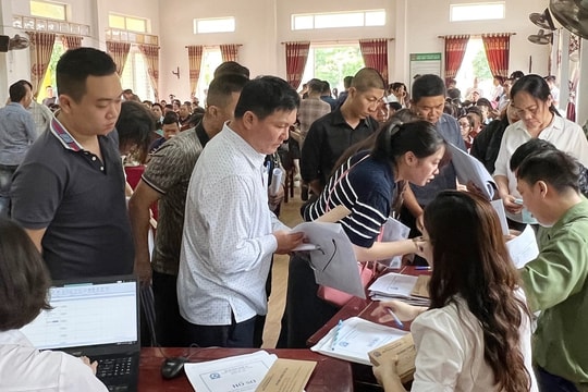 Nghi Lộc đấu giá thành công 114 lô đất với số tiền 294 tỷ đồng