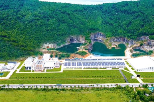 Bia Sao Vàng SPECIAL 250ML: Sản phẩm đột phá từ công nghệ và bản sắc Việt