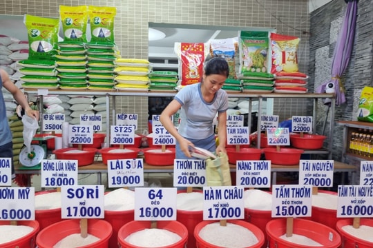 Giá lúa gạo hôm nay 28/9/2024: Đồng loạt giảm ở cả trong nước lẫn xuất khẩu