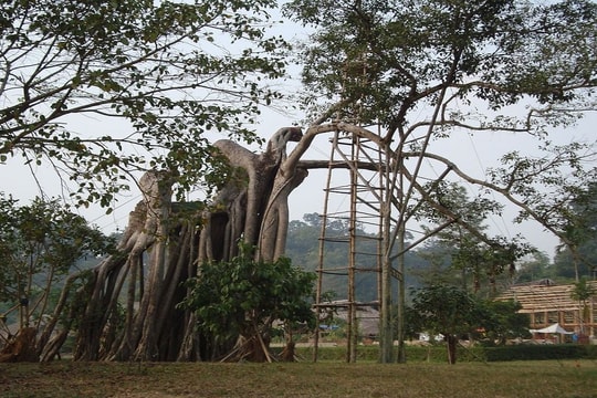 Quy định về cấp giấy chứng nhận quyền sử dụng đất đối với đất có di tích lịch sử - văn hóa, danh lam thắng cảnh