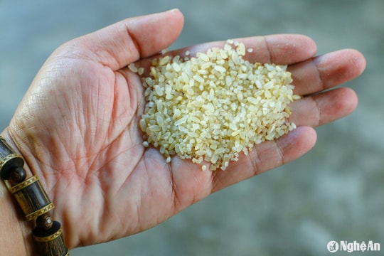 Người Khơ Mú miền Tây Nghệ An làm cốm mừng lúa mới