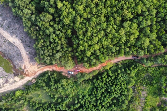 Chuẩn bị quy trình, thủ tục đầu tư xây dựng nghĩa trang, cơ sở hỏa táng tại xã Diễn Lợi, huyện Diễn Châu