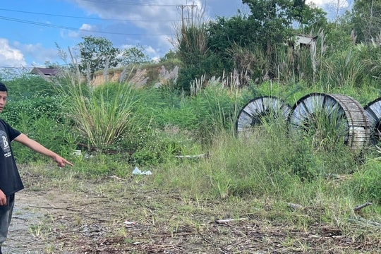 Bắt 2 đối tượng trộm dây cáp điện gần 1 tỷ đồng