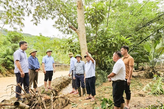 Lãnh đạo tỉnh khảo sát điểm tái định cư vùng nguy cơ lũ quét ở Tương Dương