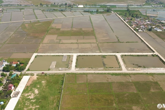 Hoàn tất đấu giá lại 23 lô đất tại huyện Quỳnh Lưu mà cán bộ xã từng trúng