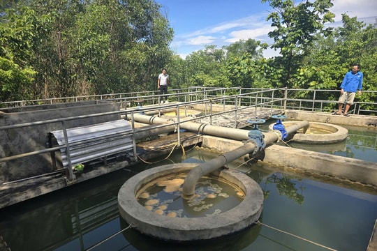 Nhiều điểm lấy nước thô đầu vào ở Nghệ An bị ô nhiễm