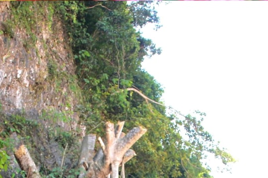 Con Cuông đề xuất làm hầm xuyên núi qua eo Vực Bồng