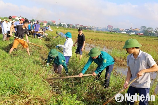 Nghệ An phát động toàn dân ra quân làm thủy lợi năm 2024