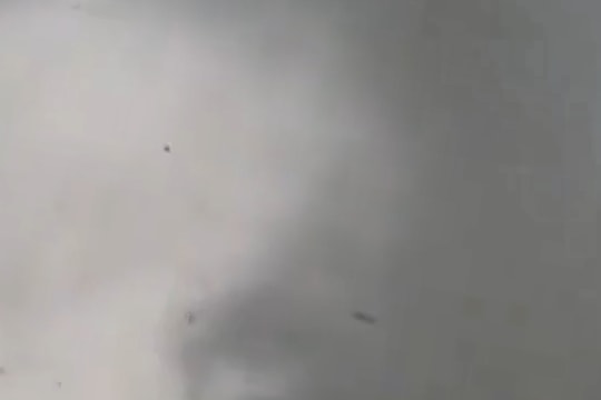 Siêu bão Milton gây thiệt hại lớn cho bang Florida (Mỹ)