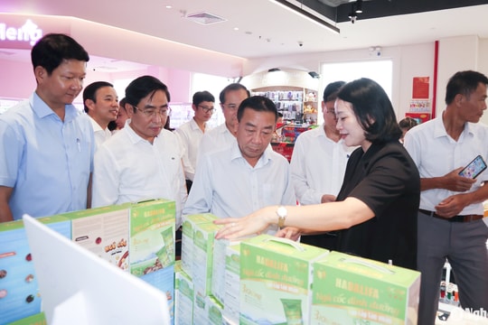 Khai trương gian hàng OCOP và đặc sản Nghệ An tại siêu thị Go!Vinh