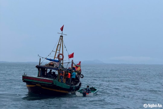 Trên 80% tàu cá '3 không' của Nghệ An đã đăng ký, cấp phép lại