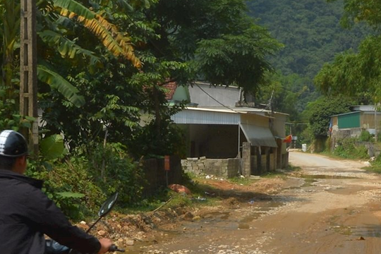 Tỉnh lộ 532 đường biến thành ‘ao’