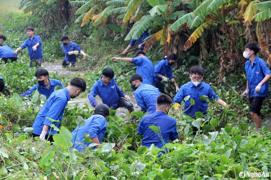 Người dân Hưng Nguyên ra quân làm thủy lợi