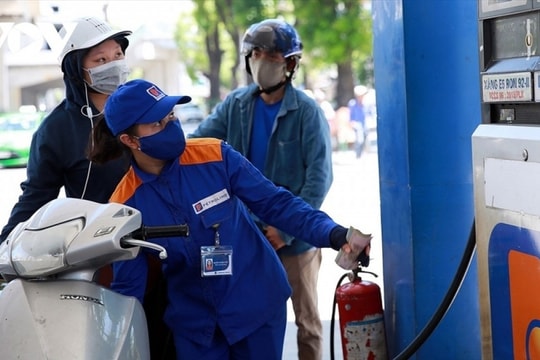 Giá xăng dầu hôm nay 15/10/2024: Giảm mạnh