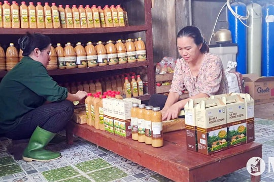 Xây dựng thương hiệu, nâng cao giá trị nông sản Nghệ An