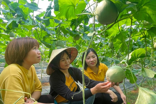 'Trợ lực' giảm nghèo bền vững tại Nghĩa Đàn