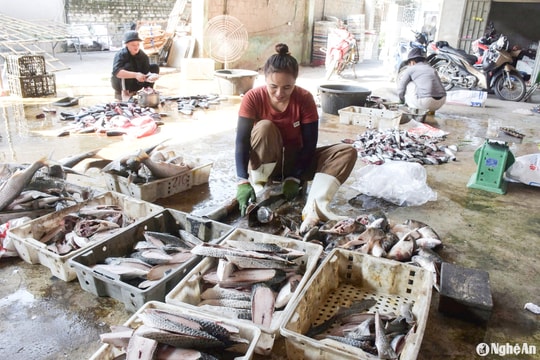 Hậu phương để ngư dân Nghệ An vững lòng vươn khơi