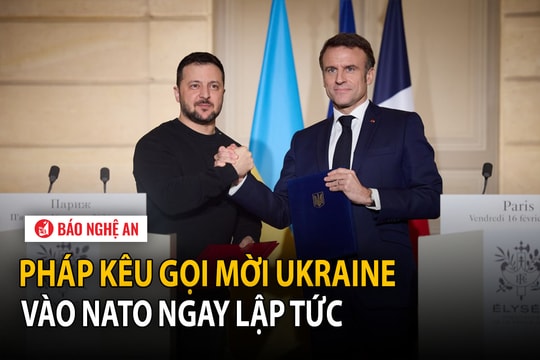 Pháp yêu cầu mời Ukraine vào NATO ngay lập tức