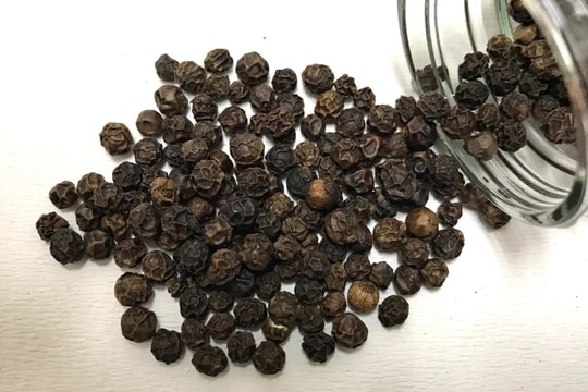 Giá tiêu hôm nay 20/10/2024: Tăng nhẹ trở lại đến 1,000 đồng/kg