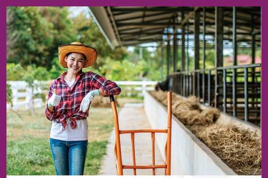 Gói vay phát triển nông nghiệp hạn mức 10 tỷ đồng từ BAC A BANK