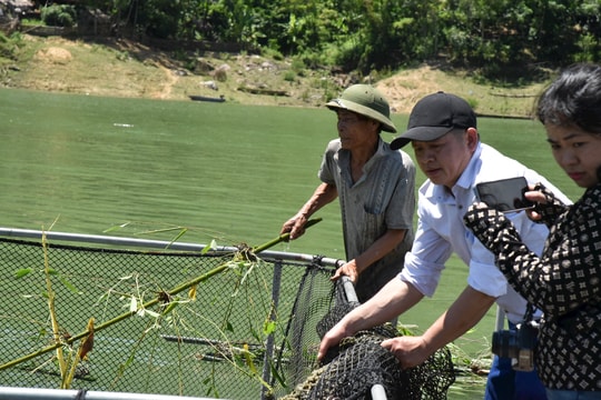 Thăm 'cơ ngơi' của đảng viên làm kinh tế giỏi trên lòng hồ Thủy điện Hủa Na