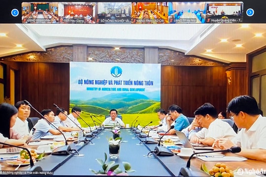 Nghệ An quyết tâm hoàn thành các chỉ tiêu xây dựng nông thôn mới năm 2024