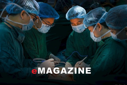 Chuyện ít biết sau những tấm thẻ hiến tạng