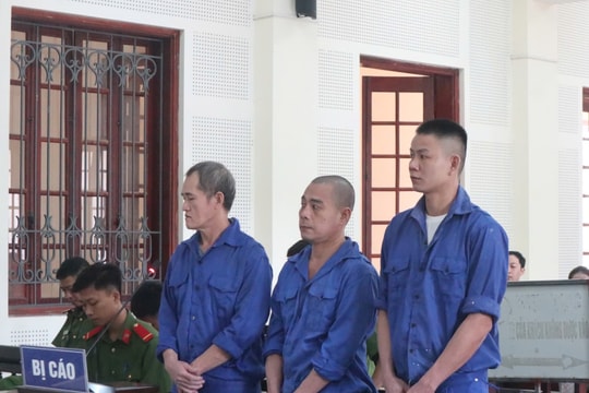 Bộ ba quen nhau trong trại giam, ra tù chung thân vì buôn ma túy