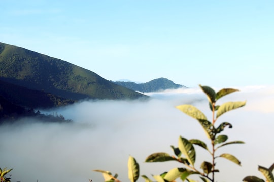 Thời tiết Thanh Hoá, Hà Tĩnh ngày 30/12: Không mưa, sáng sớm có sương mù