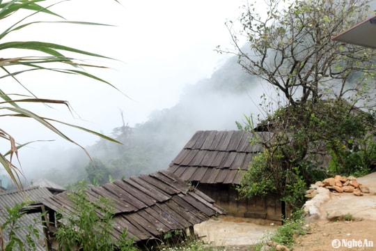 Thời tiết Nghệ An ngày 6/11: Có mưa, đêm và sáng sớm trời lạnh